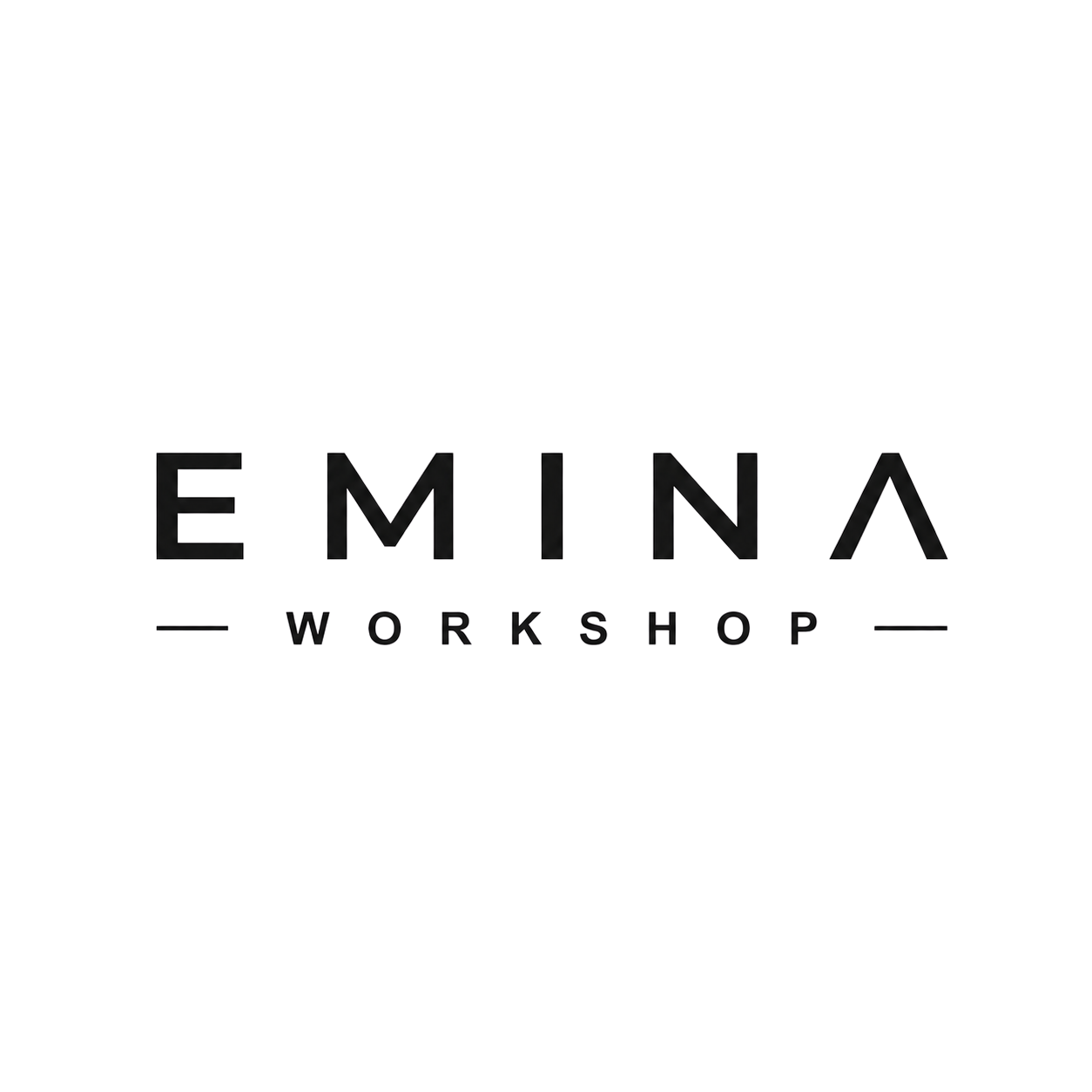 EMINA Workshop